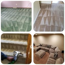 carpet cleaning tips